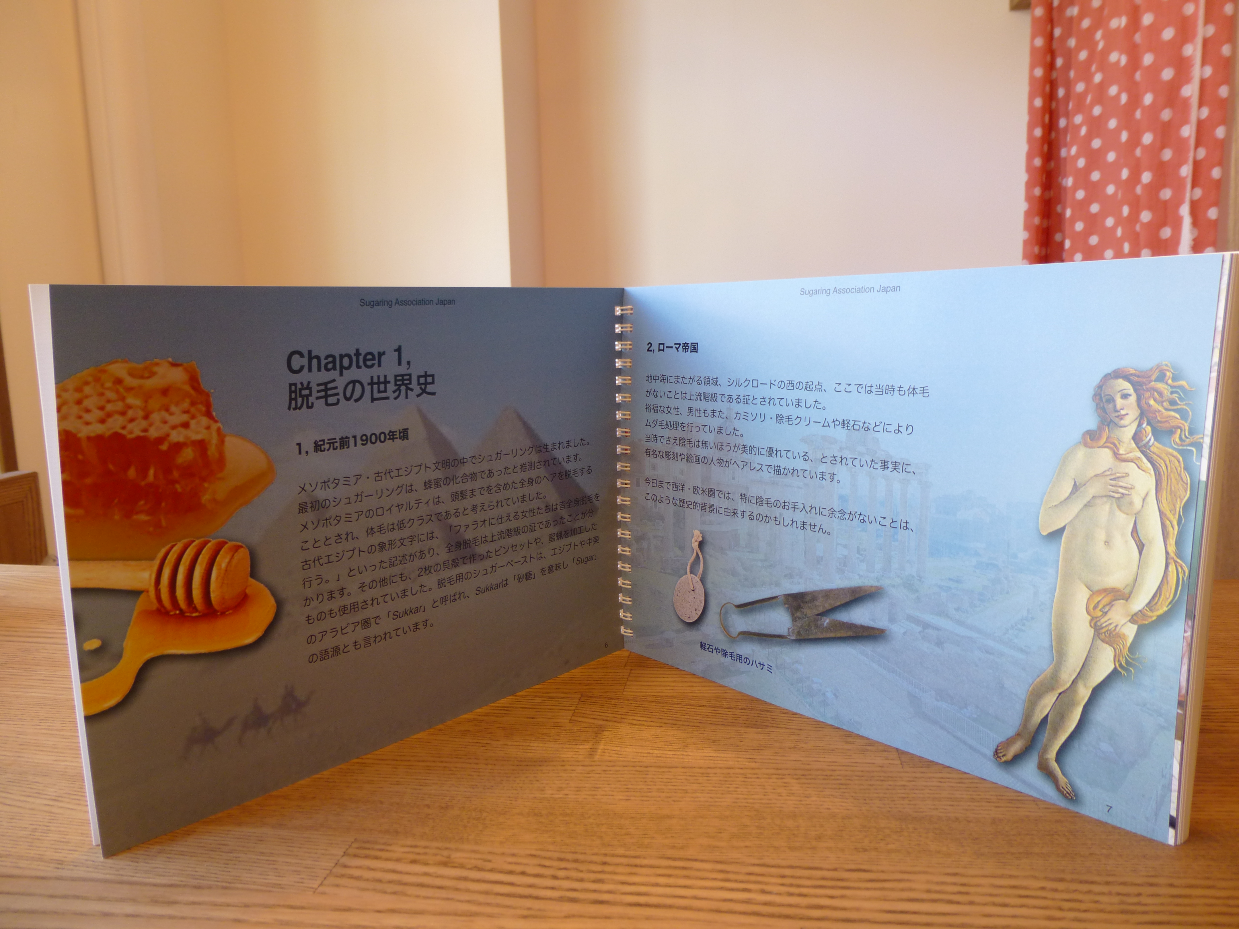 シュガーリング初心者のためのガイドブック 日本シュガーリング協会