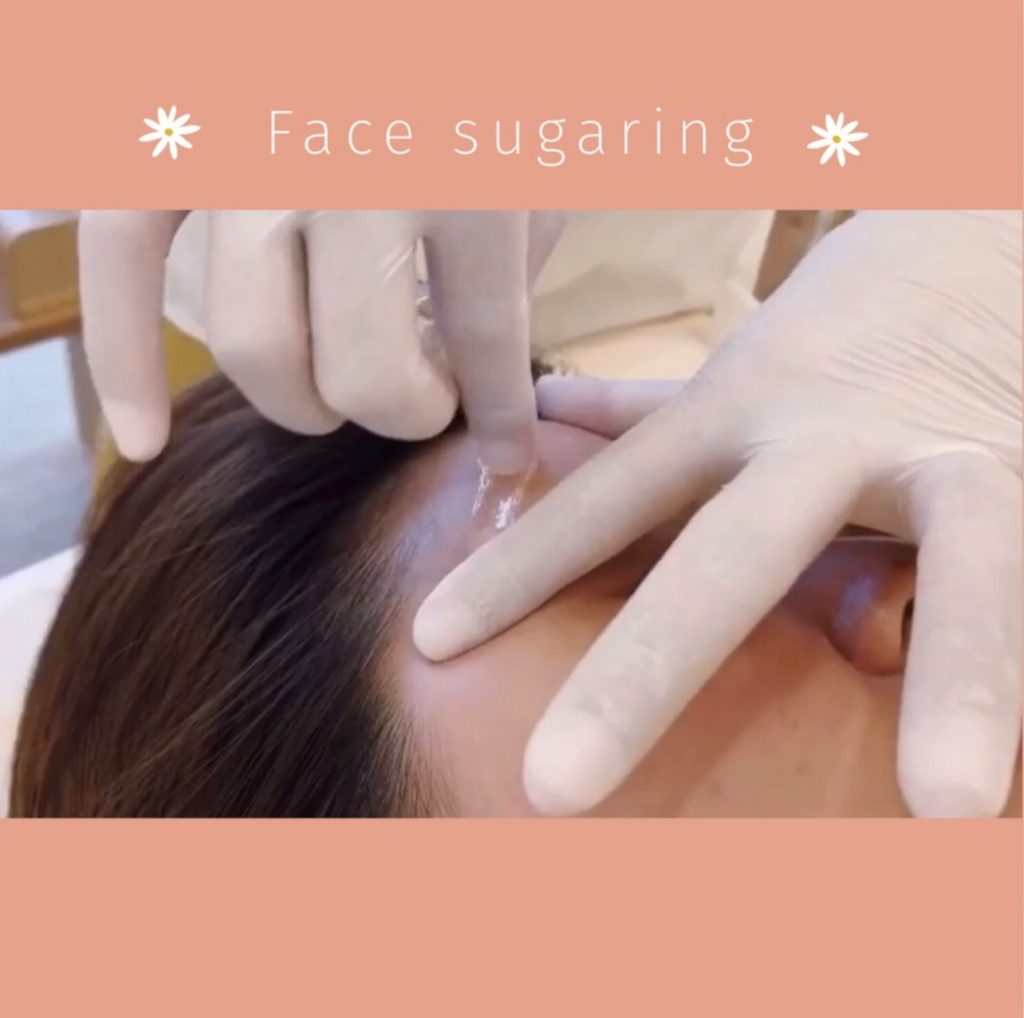 シュガーリング モレーナ 東北沢