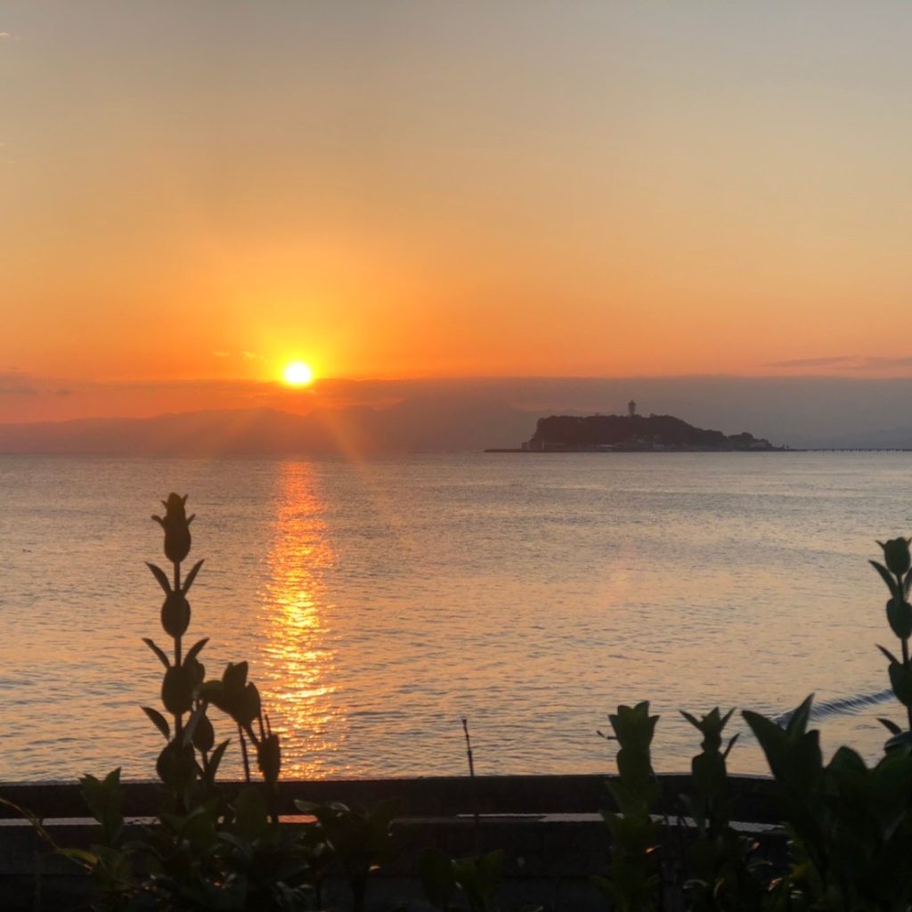 モレーナ 東北沢 シュガーリング