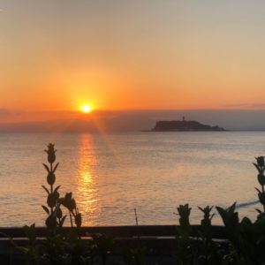 モレーナ 東北沢 シュガーリング