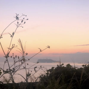 モレーナ シュガーリング 東北沢