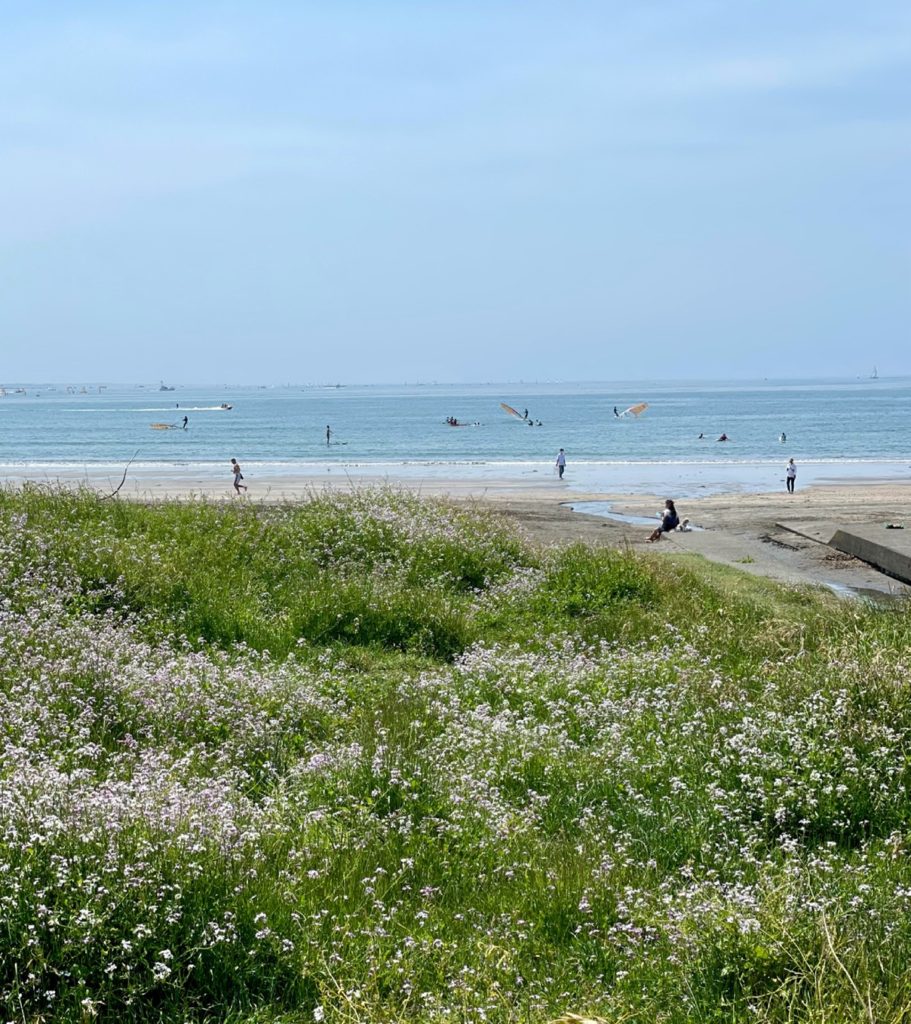 モレーナ 東北沢 鎌倉 シュガーリング