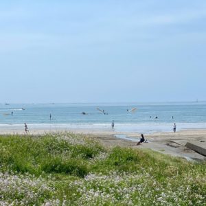 モレーナ 東北沢 鎌倉 シュガーリング