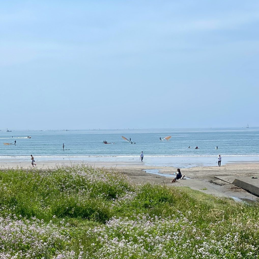 モレーナ 東北沢 鎌倉 シュガーリング