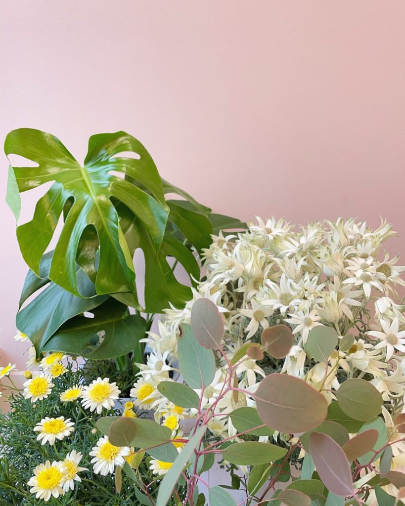 モレーナシュガーリング鎌倉サロンの住所