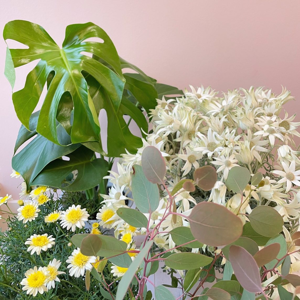 モレーナ 東北沢 鎌倉 シュガーリング