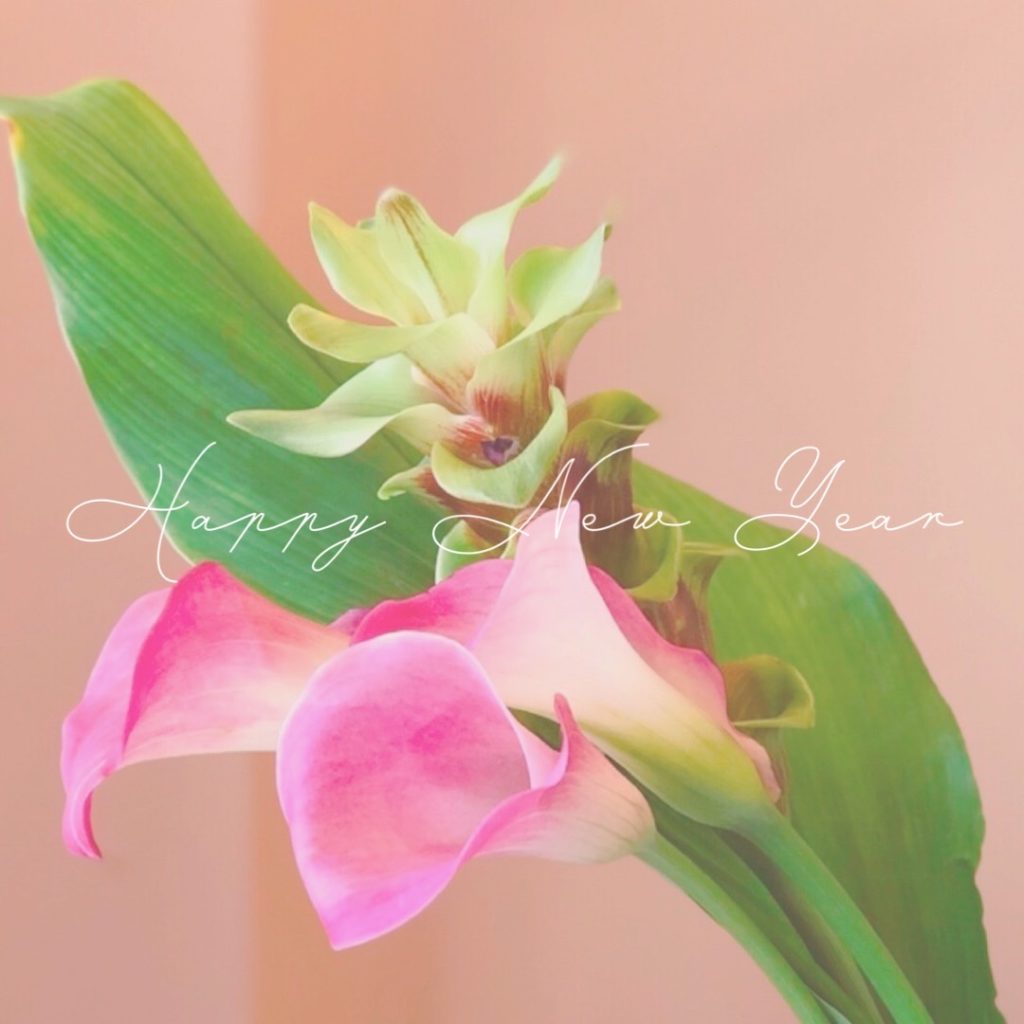 モレーナシュガーリング　シュガーリング　sajシュガーリスト　saj認定シュガーリスト