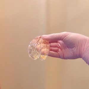 モレーナシュガーリング　シュガーリング　sajシュガーリスト　saj認定シュガーリスト